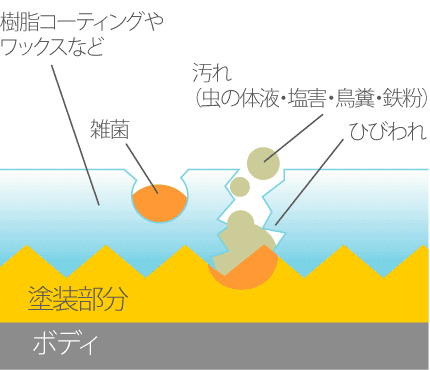 撥水性のコーティング